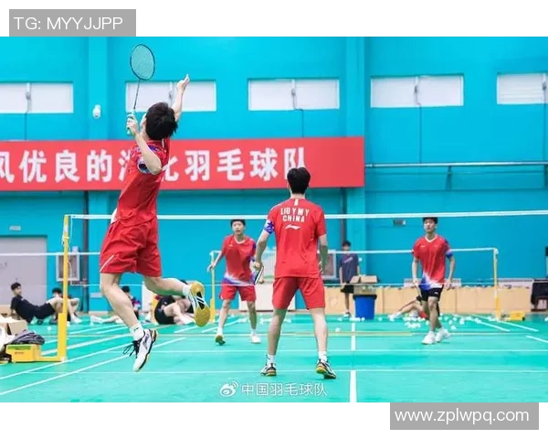 深圳羽毛球队配合问题引发热议球员间默契与战术探讨成焦点
